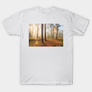 Foggy morning sun light forest T-Shirt